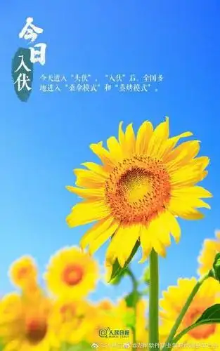 他还没有填写个人简介   关注 g 私信 = 超过 8000 万人正在使用 他