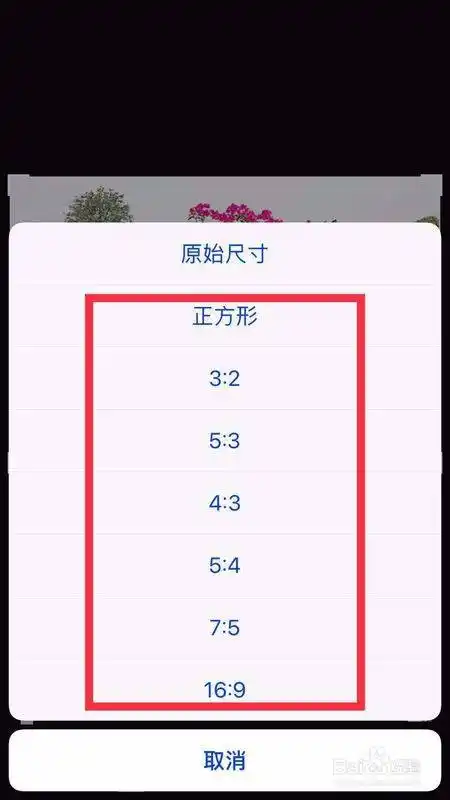 iphone6手机拍摄照片尺寸怎么设置为9:16?