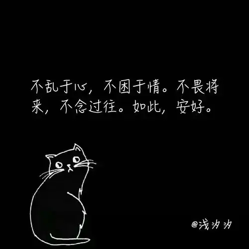 不乱于心,不困于情.不畏将来,不念过往.如此,安好.