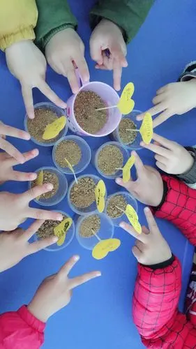 【官渡新世纪幼儿园大二班】春天播种希望的种子～～小朋友们体验种植