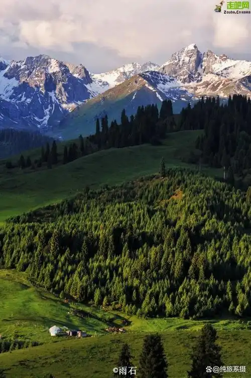 640_962竖版 竖屏