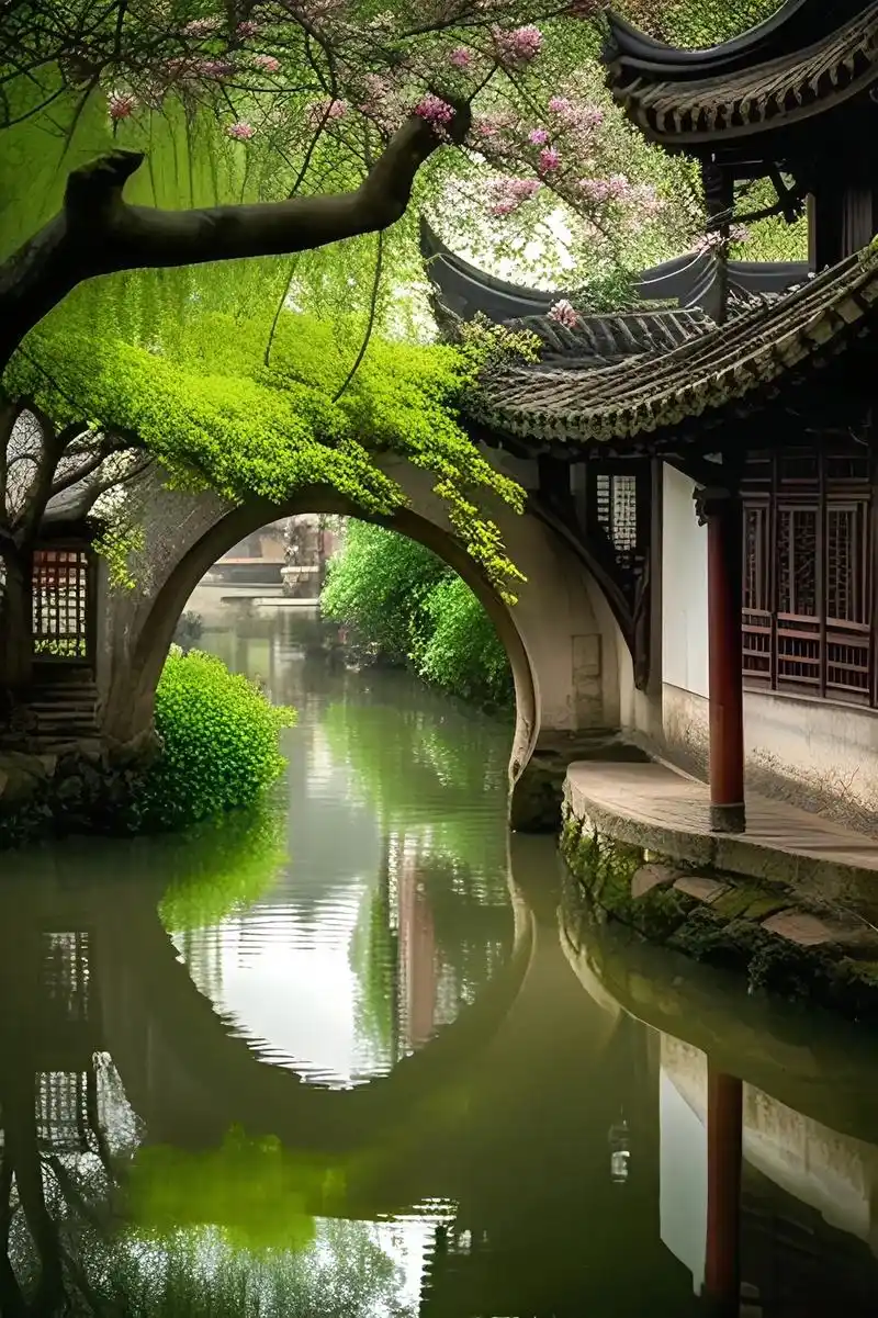 人间烟火江南水乡 #总要下趟江南吧 #愿春风带来更多美好 #意境