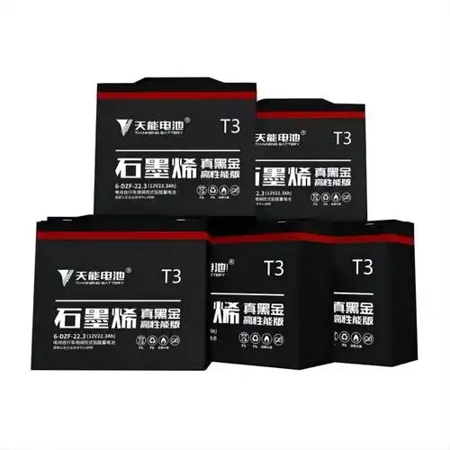 天能蓄电池6dzf20ah1组5只60v视频