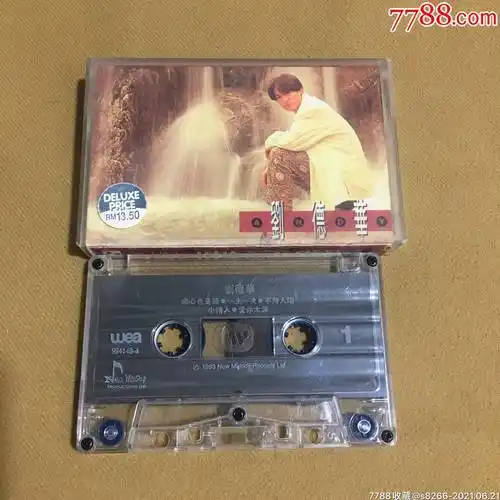 刘德华…一生一次(华纳唱片马版)