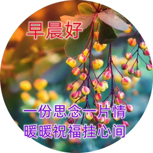清晨群发早上好的祝福短信 周末早上好问候语超好看的图片