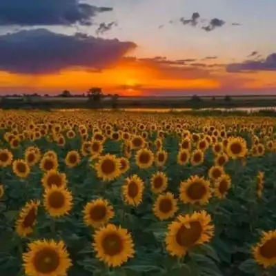 qq微信快手背景图_唯美图片_我要个性网