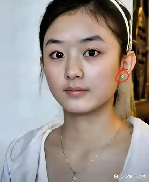 我专门去了解了下赵丽颖, 嚯,不查不知道,一查好家伙!