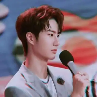 肖战王一博头像超美