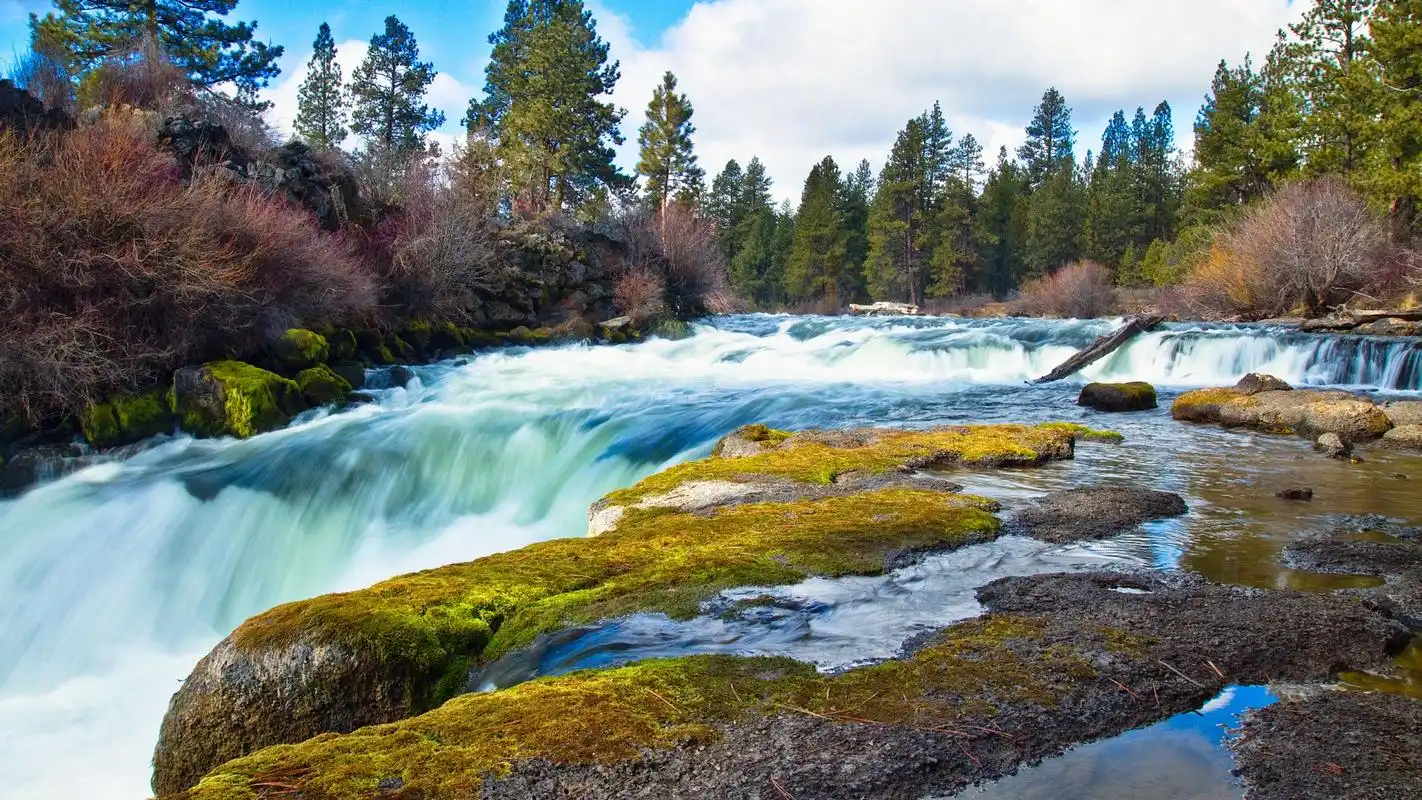 高清唯美护眼绿色风景桌面壁纸