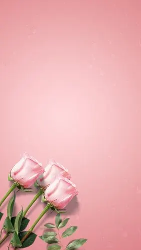 边框素材#封面素材#手写底图#手帐素材#背景壁纸