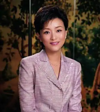 值得玩味的杨澜央视"恐惧"论