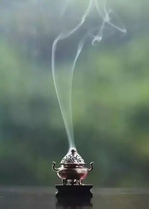 只能借着一丝禅意,脱得片刻的逃离.