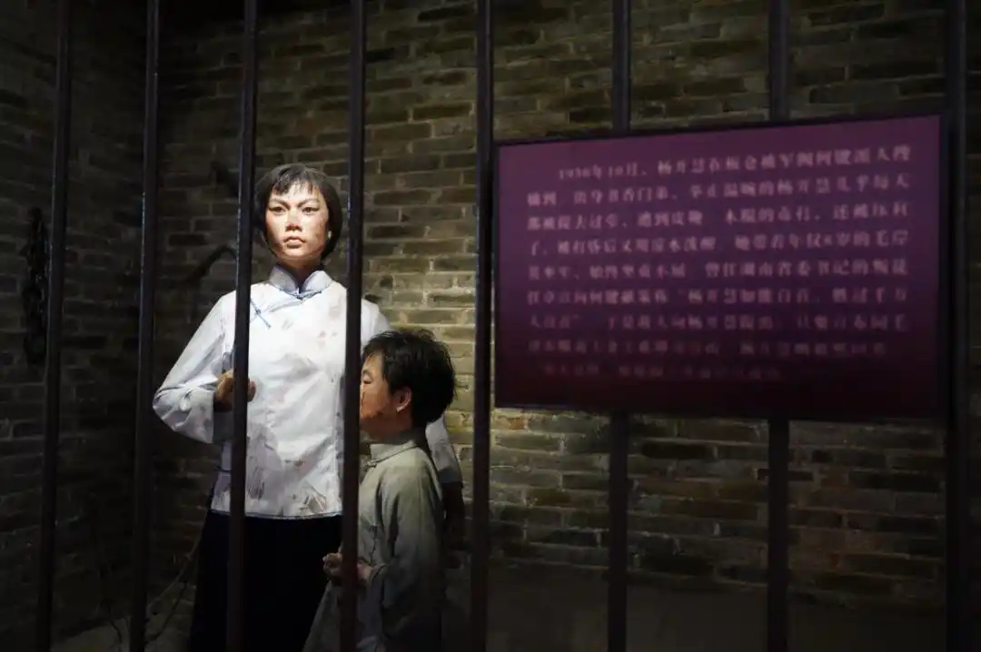 杨开慧为有牺牲多壮志骄杨只身赴九霄