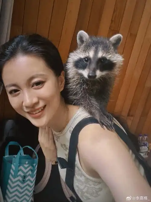 李嘉格有风格##带着微博去旅行