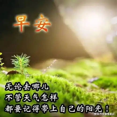 原创炎热天气早上好动图表情包图片带字夏天早安问候祝福语图片大全动