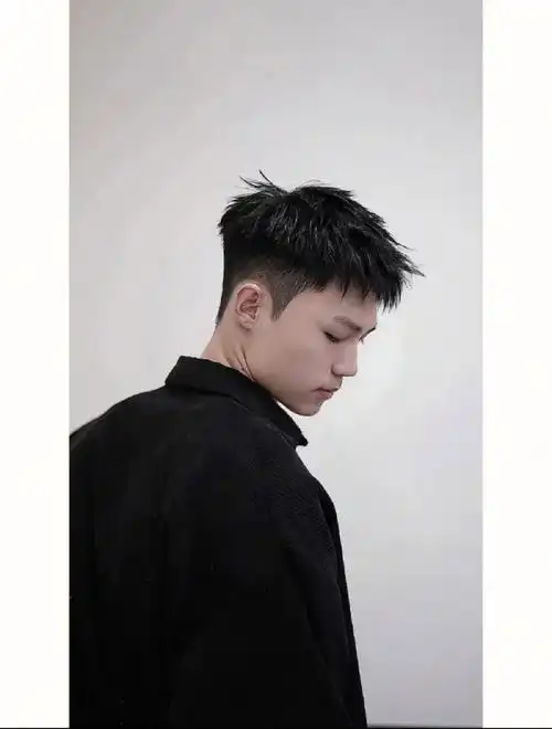 男士发型(钢架烫前刺)