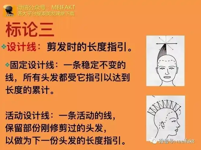 标准剪发基础理论知识