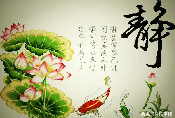 少说话,多倾听.因为爱说话的人,本就失去了一分宁静的美.