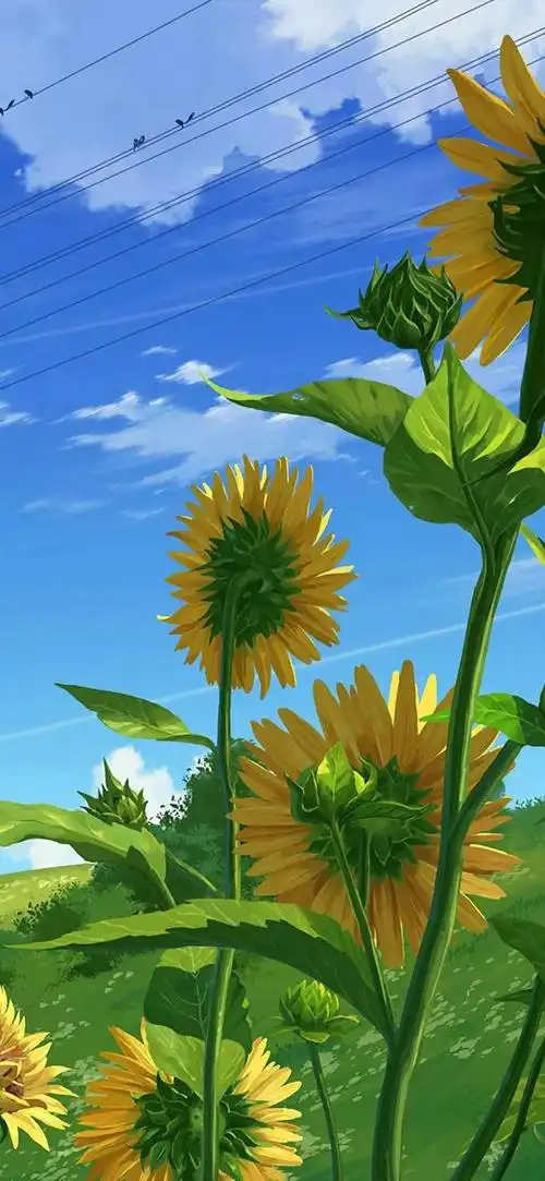 一眼惊艳的高清壁纸(含全面屏)_网易订阅