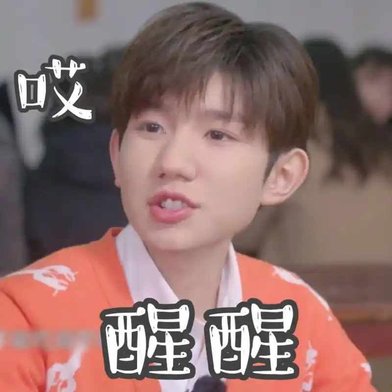 饭制王源表情包合集 快来抱走这个可爱源