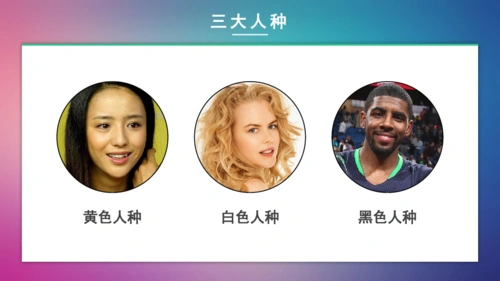 831人种和人口课件