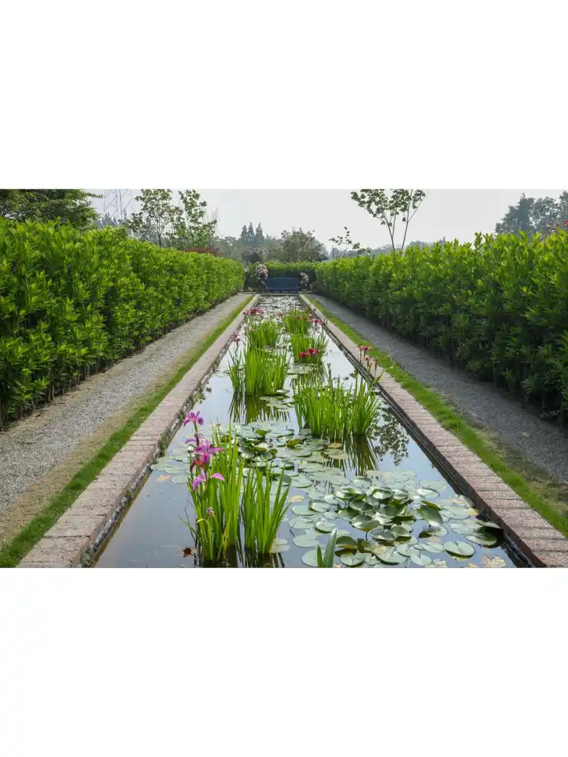 水池- 热门商品专区