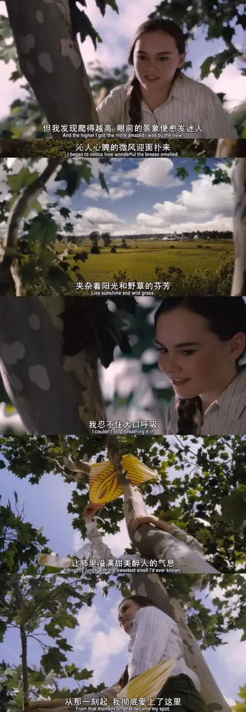 怦然心动美国版电影剧情「解析」 _晶羽科技