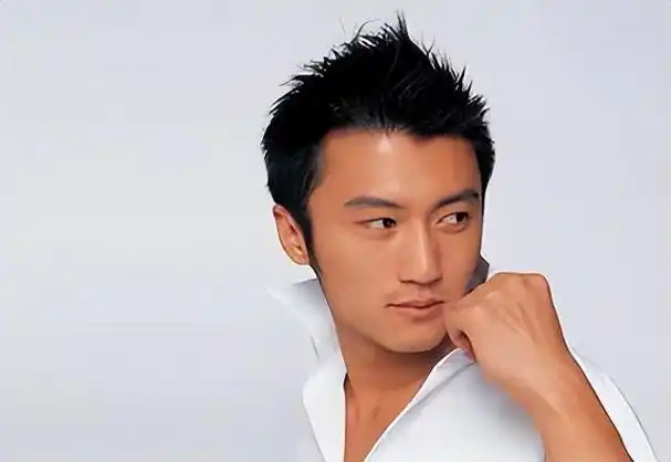 与谢霆锋纠缠26年依然选择在一起这样的爱情令人羡慕