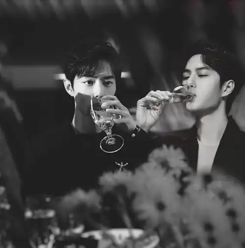 肖战王一博好帅