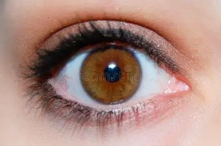 棕色的眼睛图片
