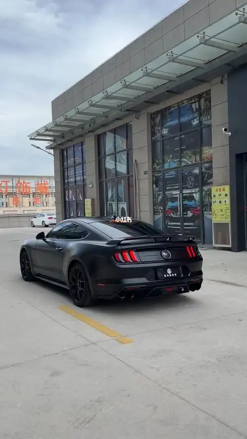 所谓黑武士mustang