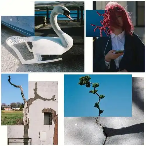 创意拼贴┃照片蒙太奇