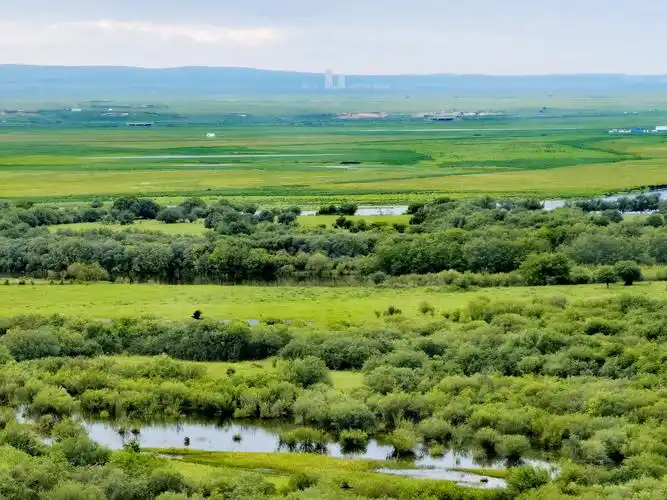 草原61湿地61灌木林