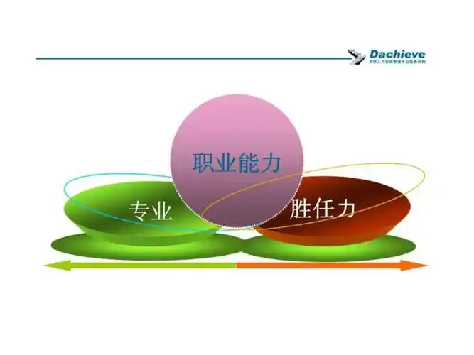 专业职业能力胜任力