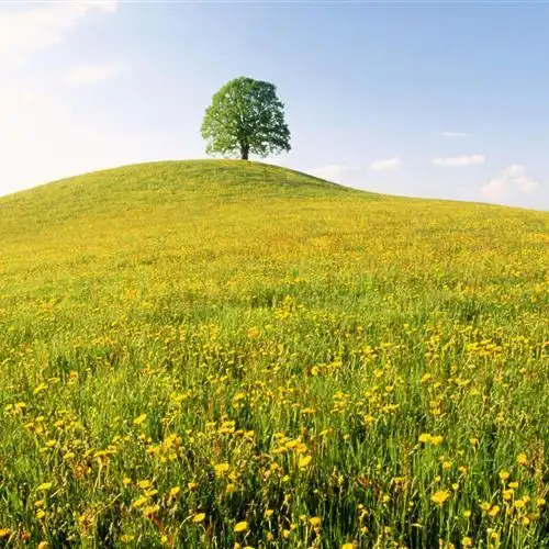 春暖花开风景头像_风景静物头像_我要个性网