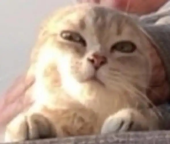 妈头发好像扎得有点儿紧