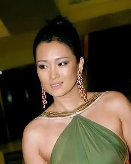 拒绝合影没有作品的巩俐走红毯(黑胖糙)(1)