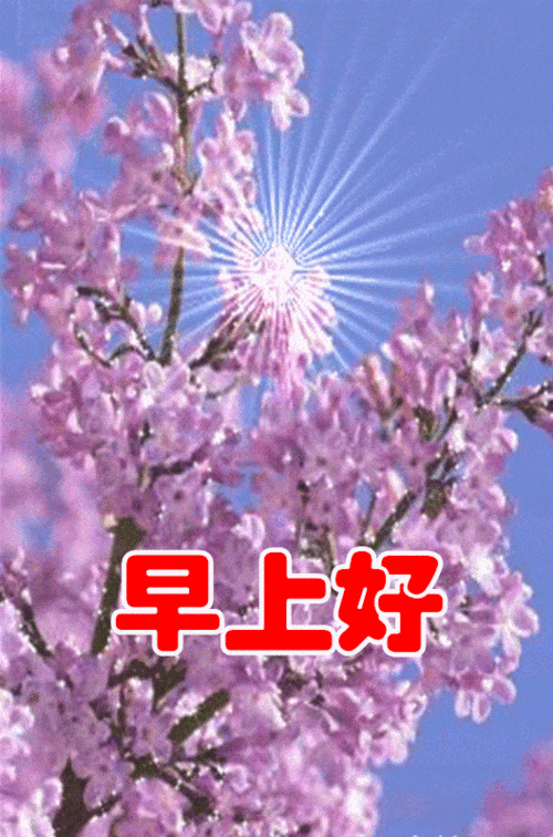 最新早上好带字表情包祝好友身体健康笑口常开