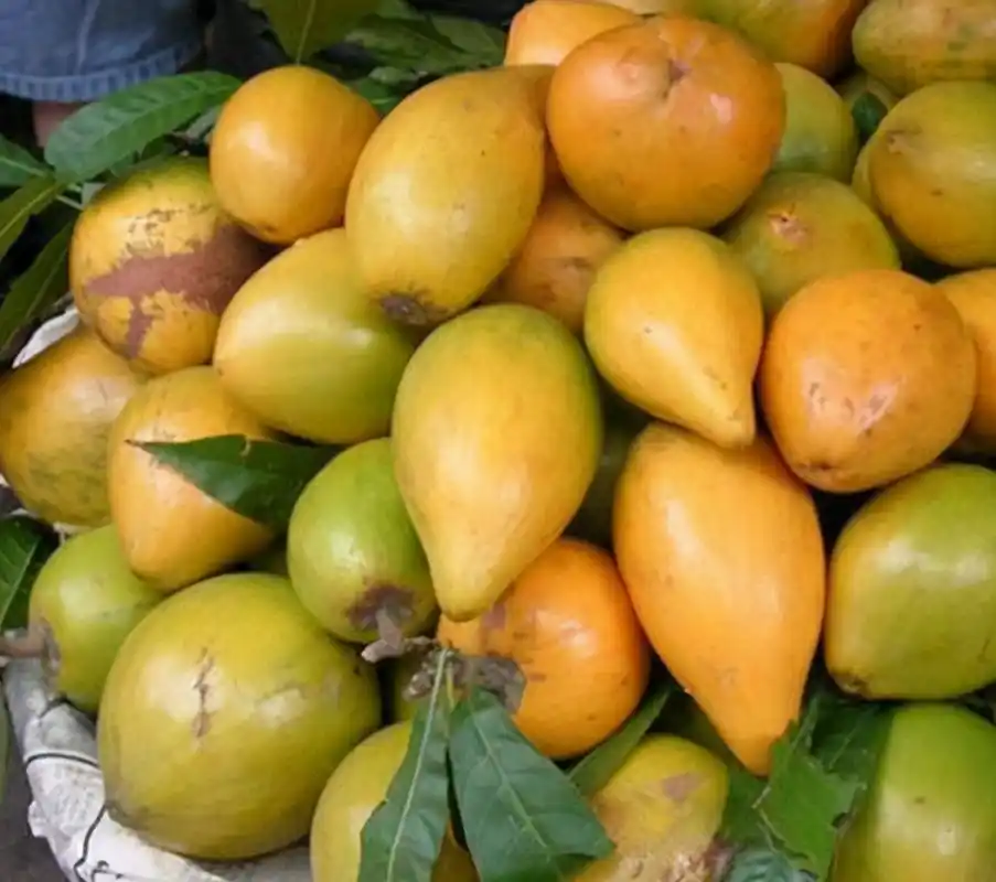 6种冷门水果曾经无人识如今火爆网络全吃过的是大神级