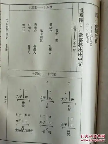 提供资料信息服务林氏宗谱博陵郡西河堂长林姑苏盐城寿二公支四本四卷