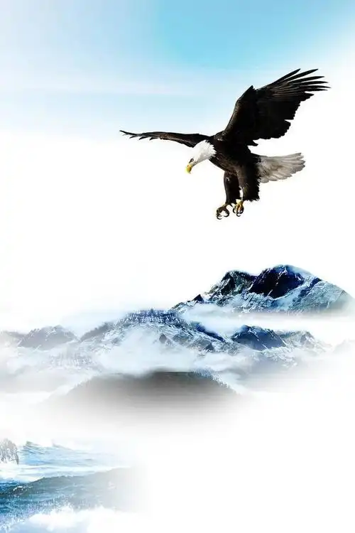 就像那雄鹰翱翔天际尽情享受风的力量,起舞蓝天白云.