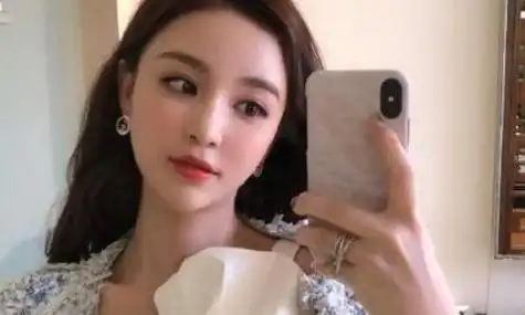 雪梨偷漏税被罚6000多万王思聪前女友雪梨漏税始末