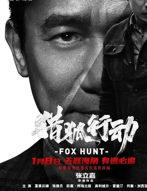 《猎狐行动》| 2021首部警匪大片,梁朝伟段奕宏上演海外追逃