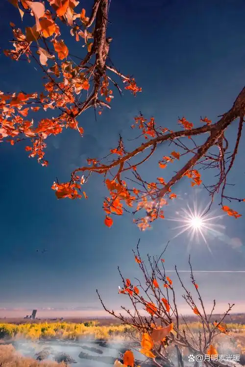 沉思往事立残阳. 被酒莫惊春睡重, 赌书消得泼茶香