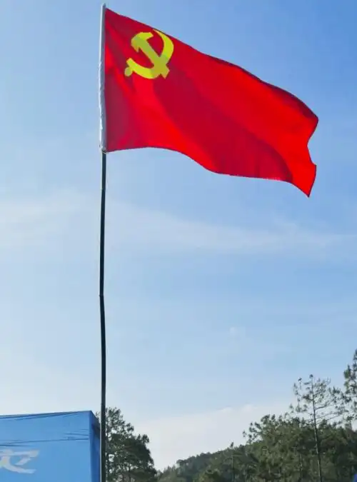 党旗飘扬 护佑生命 我们同在