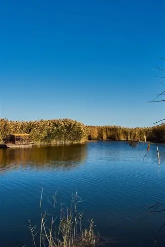 壁纸 草,芦苇,湖,蓝天 7680x4320 uhd 8k 高清壁纸, 图片, 照片