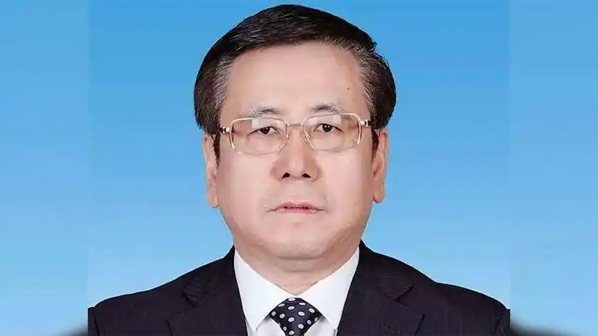 王凯任河南省人民政府副省长,代理省长