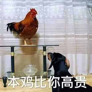 【表情包】 今日份沙雕表情包