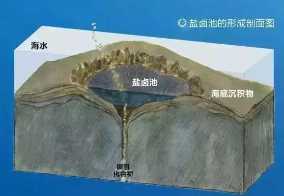 奇闻;那不勒斯死亡谷,海底的湖泊及帕劳水母湖