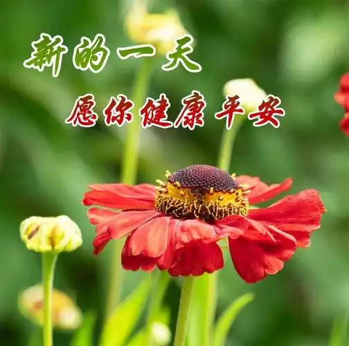 2,2022今天刚出最新早上好图片,祝愿你一生幸福,健康平安